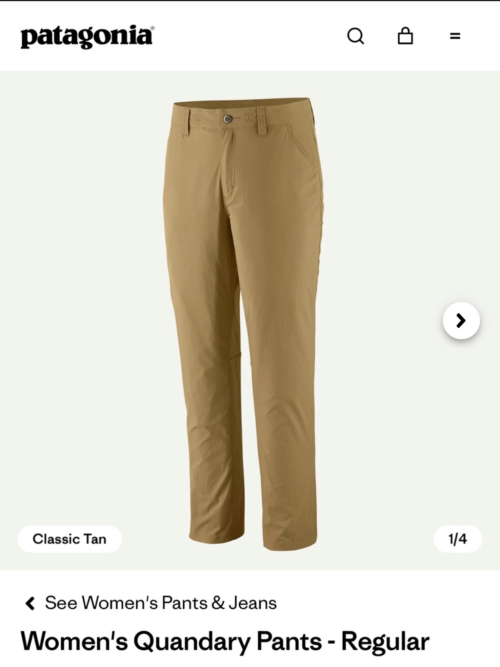 Patagonia Quandary Pants - Picture 3 of 11